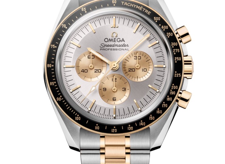 OMEGA スピードマスター ムーンウォッチ プロフェッショナル 42mm シルバー文字盤 ステンレススティール×ムーンシャインゴールド 310.20.42.50.02.001