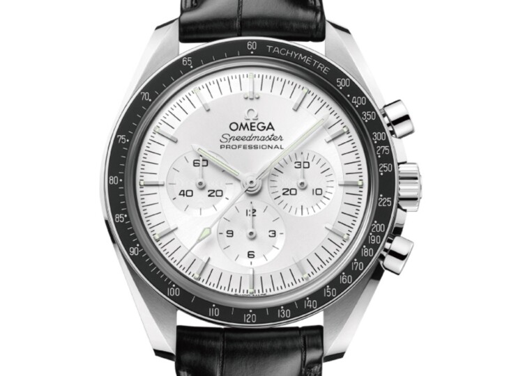 OMEGA スピードマスター ムーンウォッチ プロフェッショナル 42mm シルバー文字盤 カノープスゴールド レザーストラップ 310.63.42.50.02.001